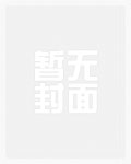 三妻四妾